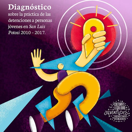 Diagnóstico sobre la Práctica de las Detenciones a personas jóvenes en San Luis Potosí 2010-2017